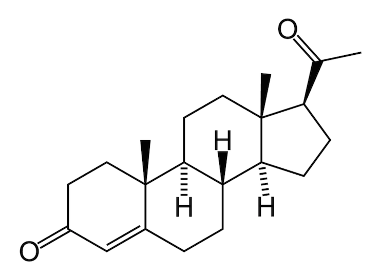 cerveau_progesterone.png