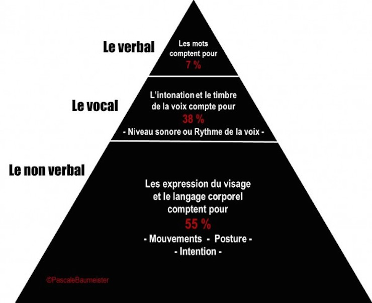 Non-verbal-PBaumeister-600x488.jpg